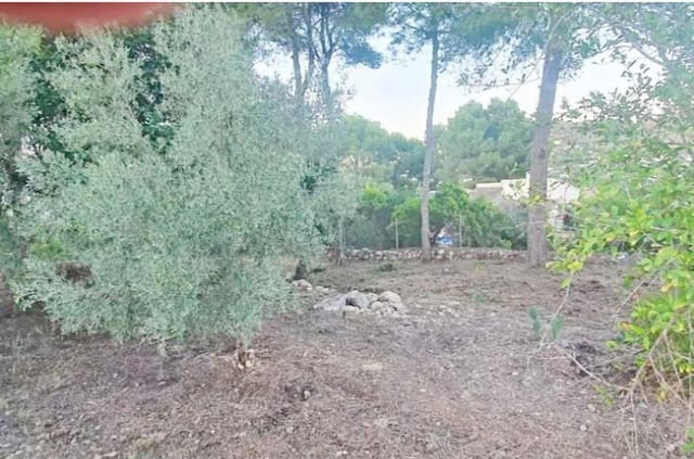 Terreno Não Urbanizado para venda em Javea / Xàbia - 2 800 000 € (Ref: 9254658)