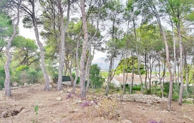 Terreno Não Urbanizado para venda em Javea / Xàbia - 2 800 000 € (Ref: 9254658)