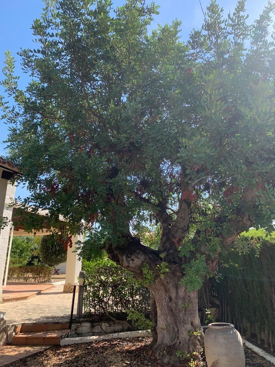 Chalet de 5 habitaciones en Moraira en venta con piscina garaje - 770.000 € (Ref: 9317167)