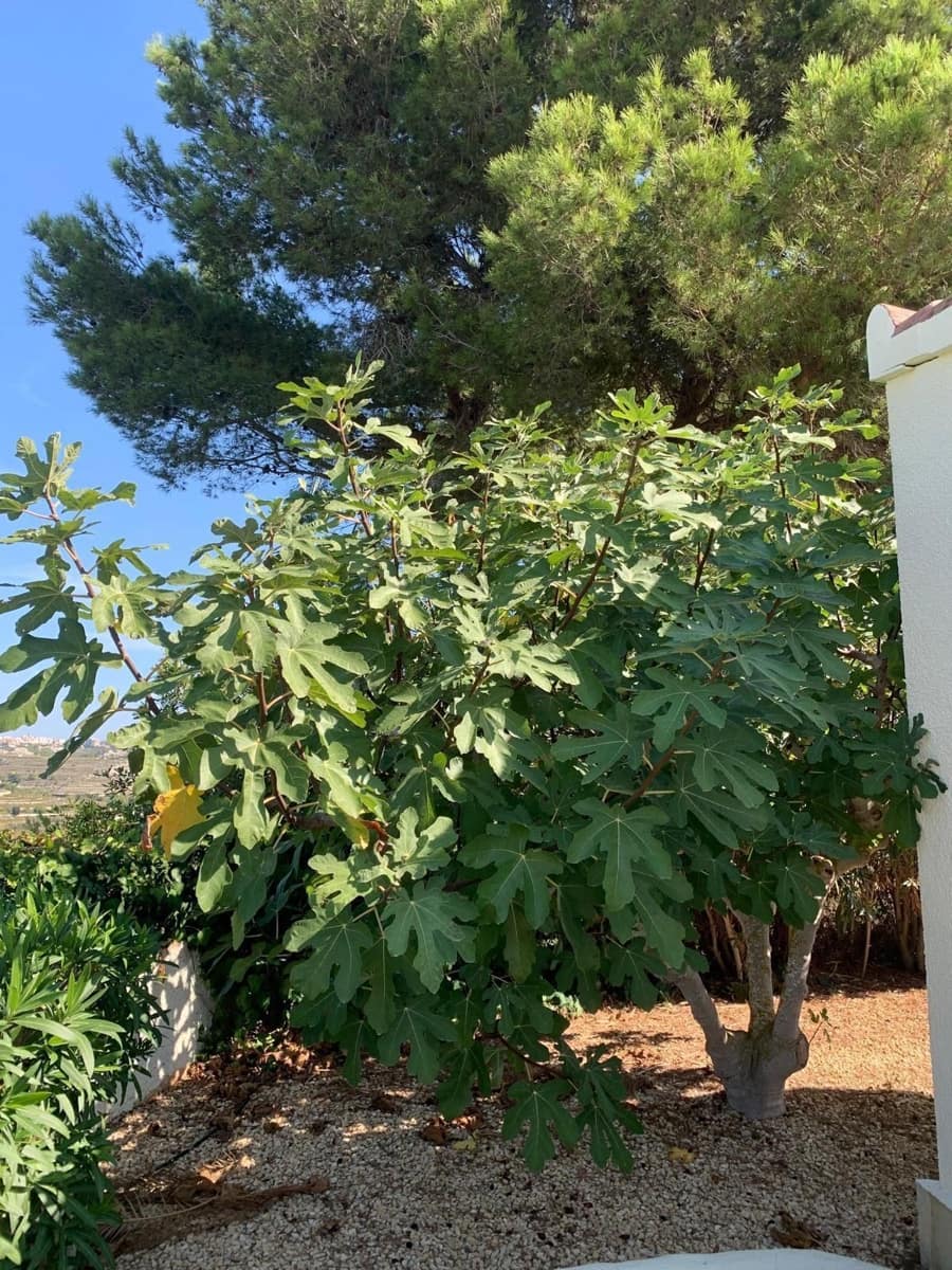 Chalet de 5 habitaciones en Moraira en venta con piscina garaje - 770.000 € (Ref: 9317167)