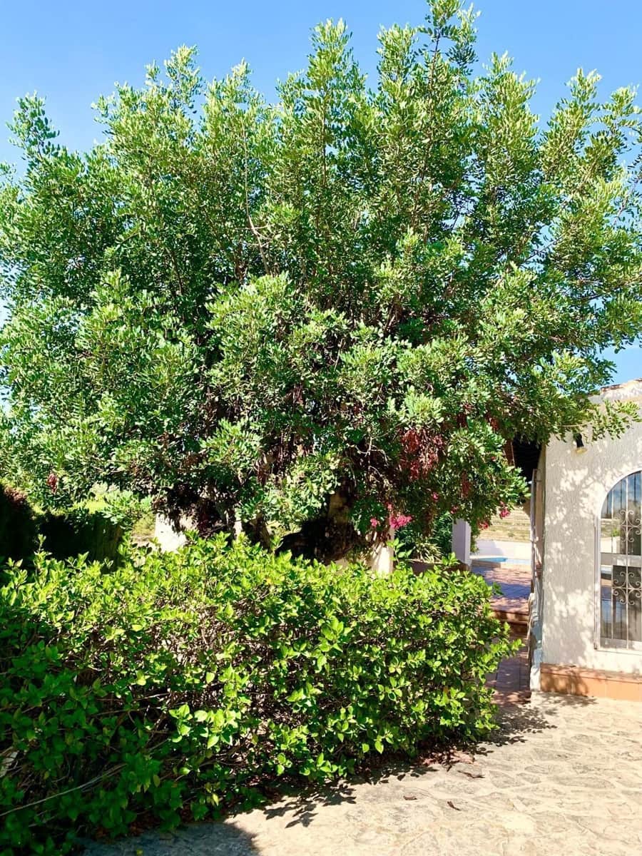 Chalet de 5 habitaciones en Moraira en venta con piscina garaje - 770.000 € (Ref: 9317167)