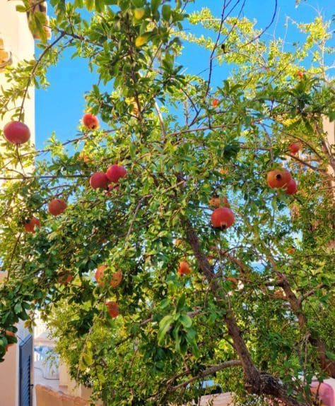 3 sypialnia Willa na sprzedaż w Cumbre del Sol z basenem garażem - 724 000 € (Ref: 9366925)