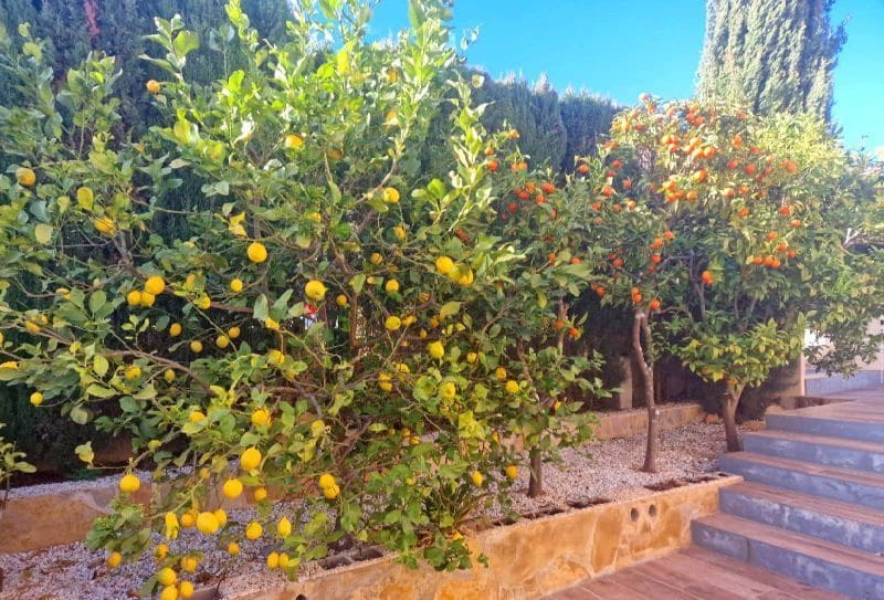 3 sypialnia Willa na sprzedaż w Cumbre del Sol z basenem garażem - 724 000 € (Ref: 9366925)