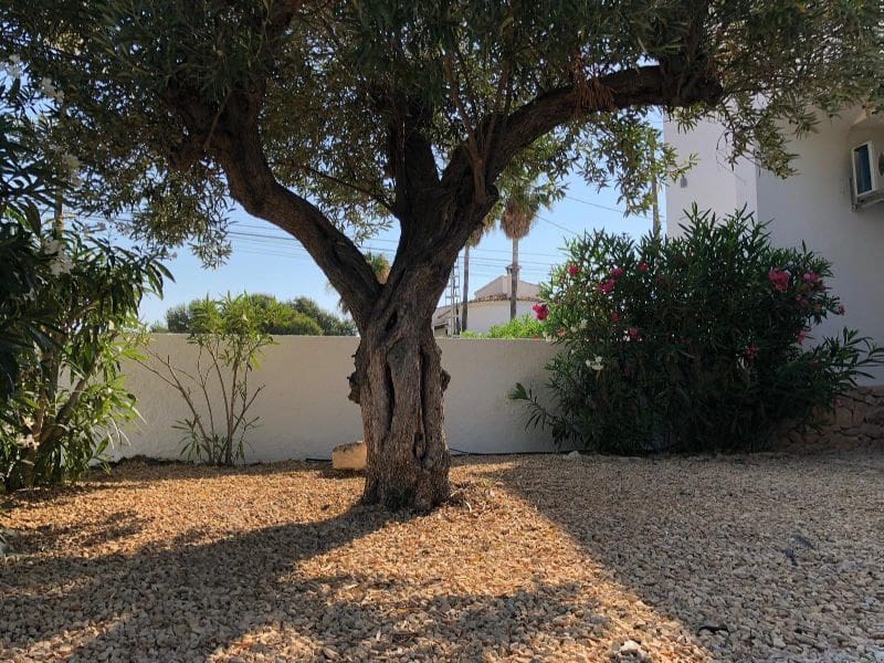 6 sypialnia Willa na sprzedaż w Calpe / Calp z basenem garażem - 974 000 € (Ref: 9535609)