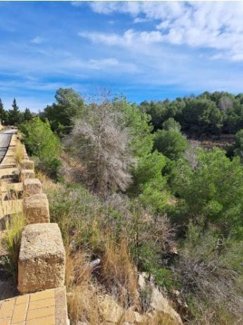 Undeveloped Land for sale in Javea / Xàbia - € 168,880 (Ref: 9610783)