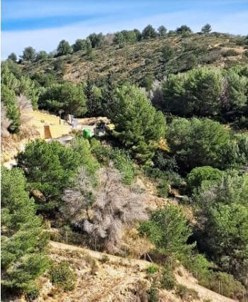 Undeveloped Land for sale in Javea / Xabia - € 168,880 (Ref: 9610783)