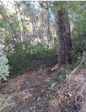 Landgrundstück zu verkaufen in La Granadella  - Costa Nova, Javea / Xàbia - 300.000 € (Ref: 9610784)