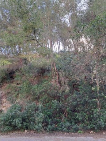 Landgrundstück zu verkaufen in Javea / Xabia - 300.000 € (Ref: 9610784)