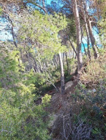 Landgrundstück zu verkaufen in La Granadella  - Costa Nova, Javea / Xàbia - 300.000 € (Ref: 9610784)