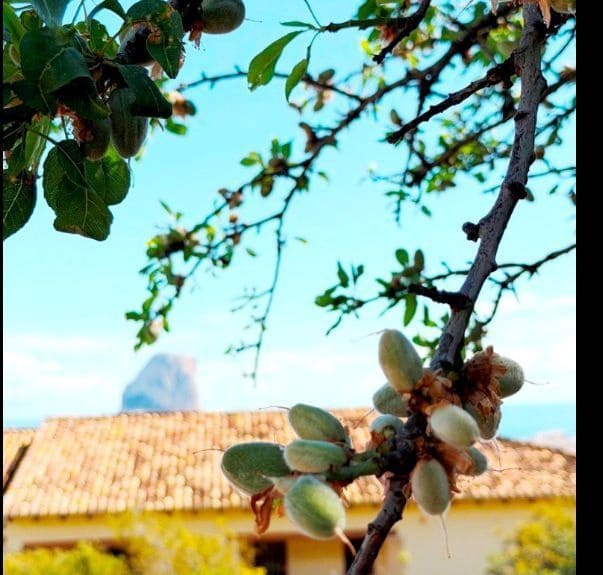 5 bedroom Villa for sale in Calpe / Calp with pool garage - € 645,000 (Ref: 9706214)