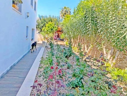 4 Zimmer Villa zu verkaufen in Cometa - Carrió, Calpe / Calp mit Pool Garage - 895.000 € (Ref: 9824649)