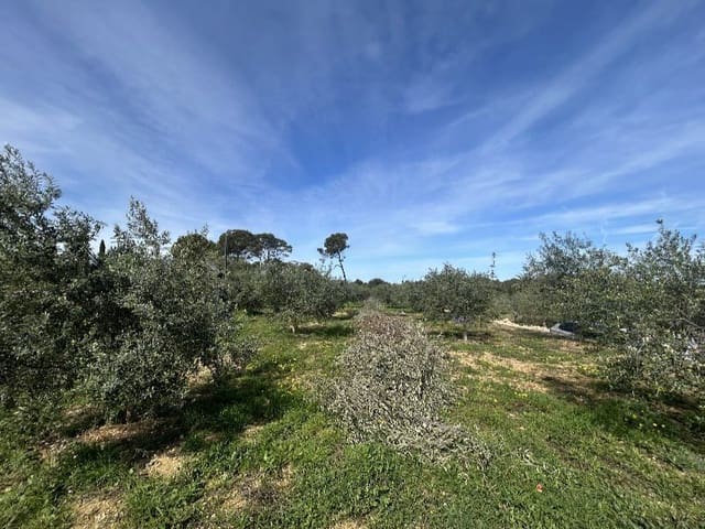 3 sypialnia Willa na sprzedaż w Dénia z basenem garażem - 1 595 000 € (Ref: 9883990)