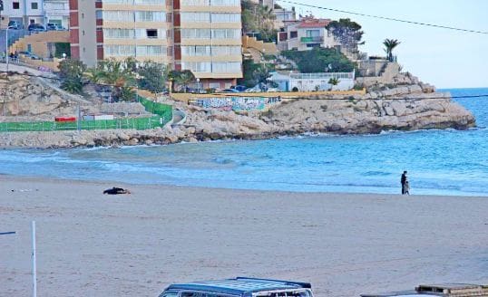 2 sovrum Lägenhet att hyra i Benidorm med pool - 1 280 € (Ref: 9902768)