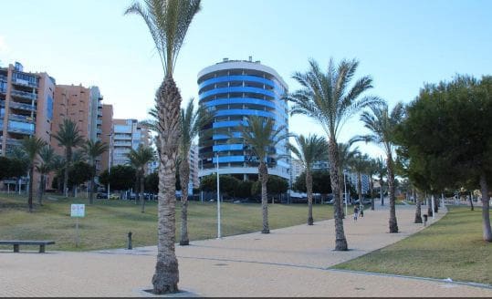 2 sovrum Lägenhet att hyra i Benidorm med pool - 1 280 € (Ref: 9902768)