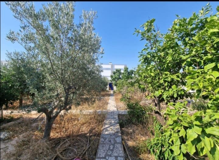Terre non Aménagée à vendre à Ciudad Quesada - 228 000 € (Ref: 10038649)
