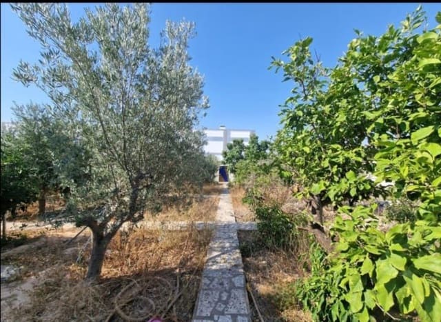 Terre non Aménagée à vendre à Ciudad Quesada, Rojales - 228 000 € (Ref: 10038649)