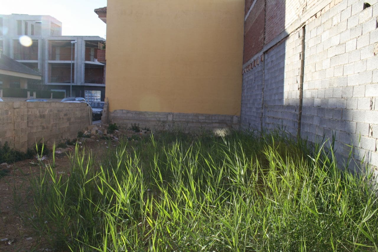 Grunde uden byggetilladelser til salg i Los Palacios - € 160.000 (Ref: 4374139)