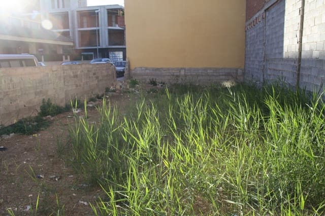 Undeveloped Land for sale in Los Palacios, Formentera del Segura - € 160,000 (Ref: 4374139)