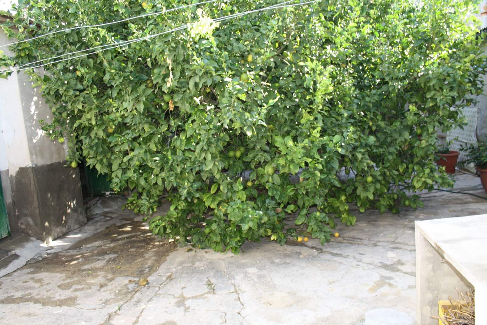 4 bedroom Townhouse for sale in Formentera del Segura with garage - € 180,000 (Ref: 4841594)