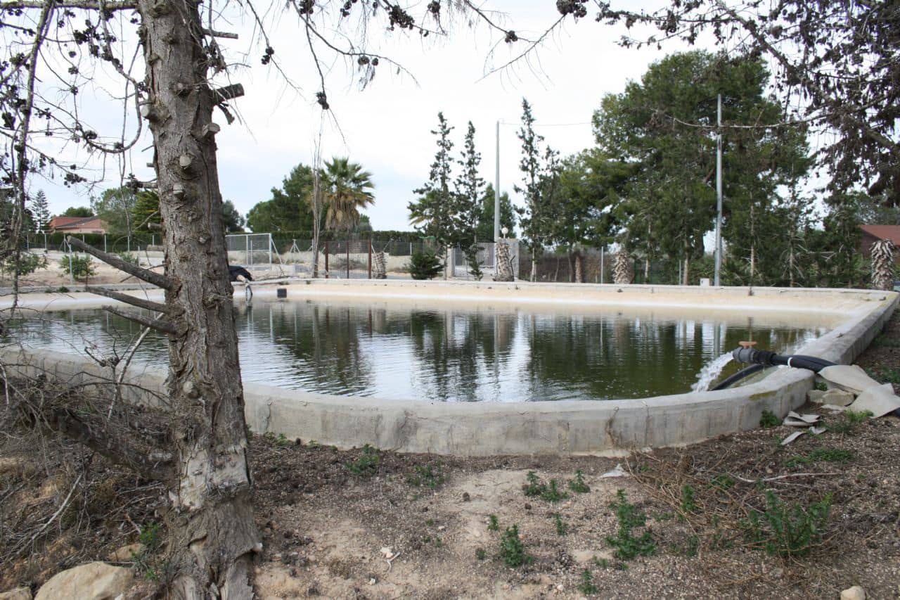 4 soveværelse Finca/Landehus til salg i Algorfa med garage - € 550.000 (Ref: 5929532)