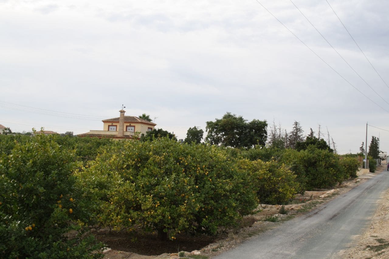 4 soveværelse Finca/Landehus til salg i Algorfa med garage - € 550.000 (Ref: 5929532)