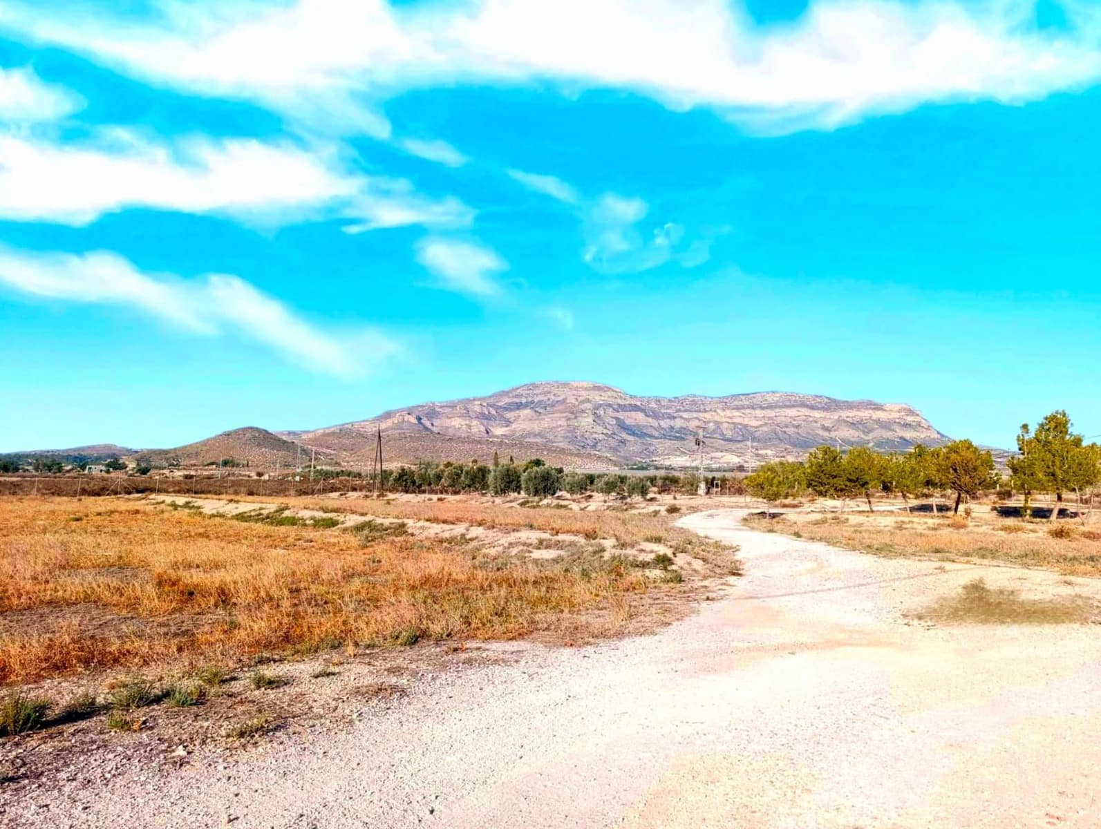 6 soveværelse Finca/Landehus til salg i Agost med swimmingpool garage - € 315.000 (Ref: 8932058)