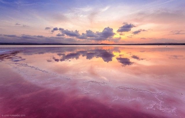 2 Zimmer Villa zu verkaufen in Rojales mit Pool - 157.000 € (Ref: 9016769)