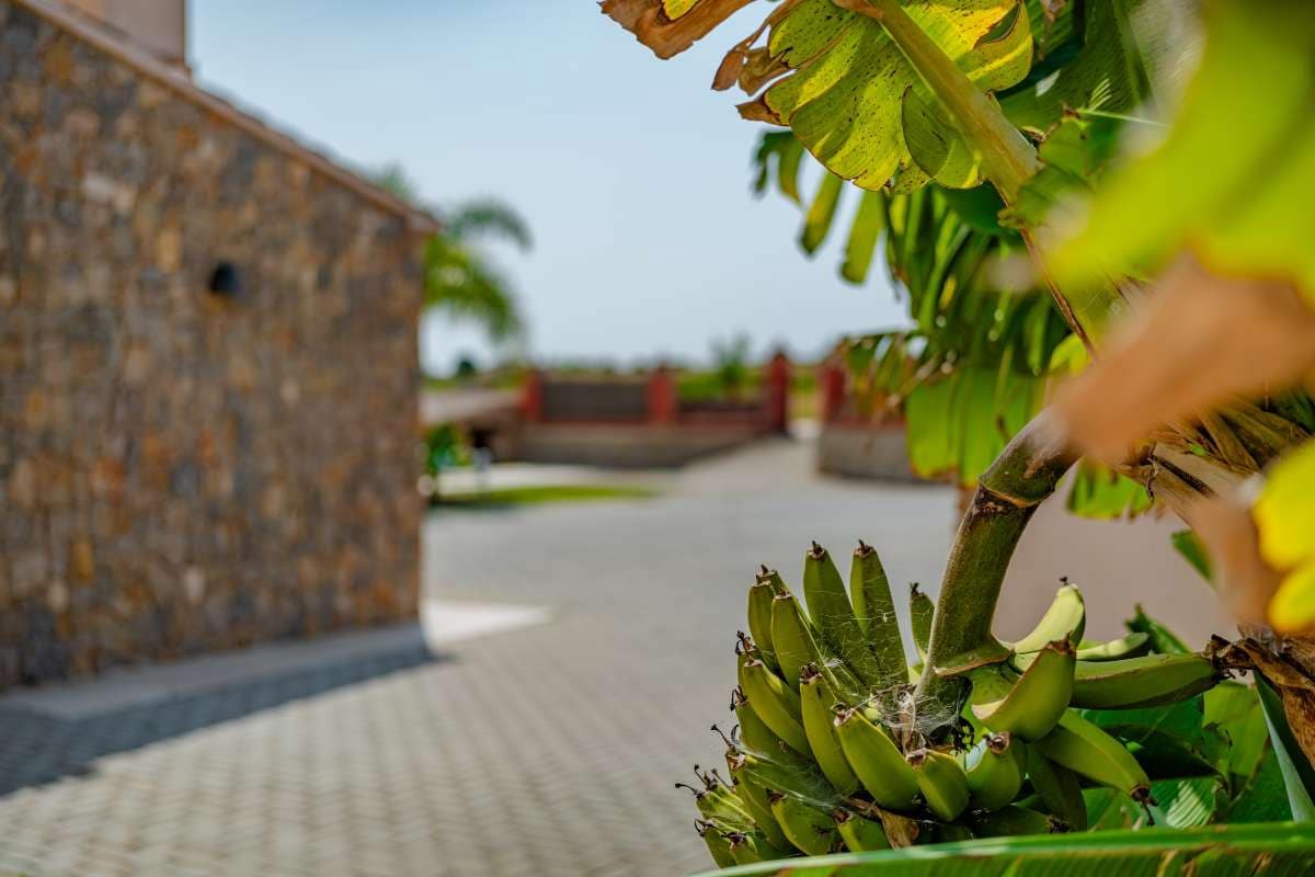 4 soverom Villa til salgs i Moraira - € 1 745 000 (Ref: 9051432)