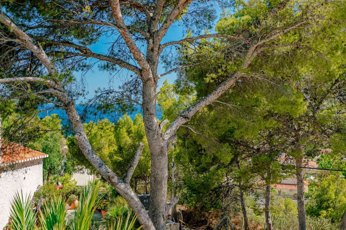 5 soveværelse Villa til salg i Calpe / Calp - € 780.000 (Ref: 9051437)