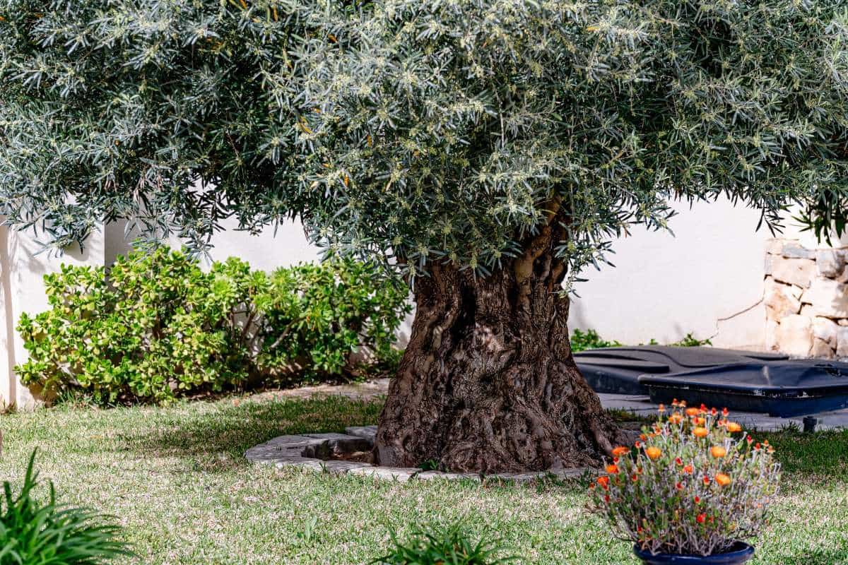 5 soveværelse Villa til salg i Calpe / Calp - € 780.000 (Ref: 9051437)