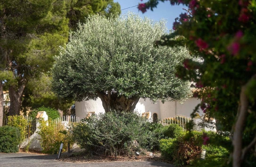 7 chambre Villa/Maison à vendre à Altea - 1 850 000 € (Ref: 9459749)