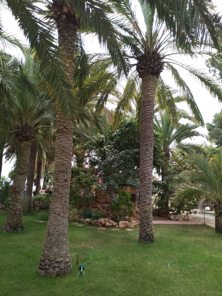 4 quarto Quinta/Casa Rural para venda em Calpe / Calp - 2 500 000 € (Ref: 9534996)