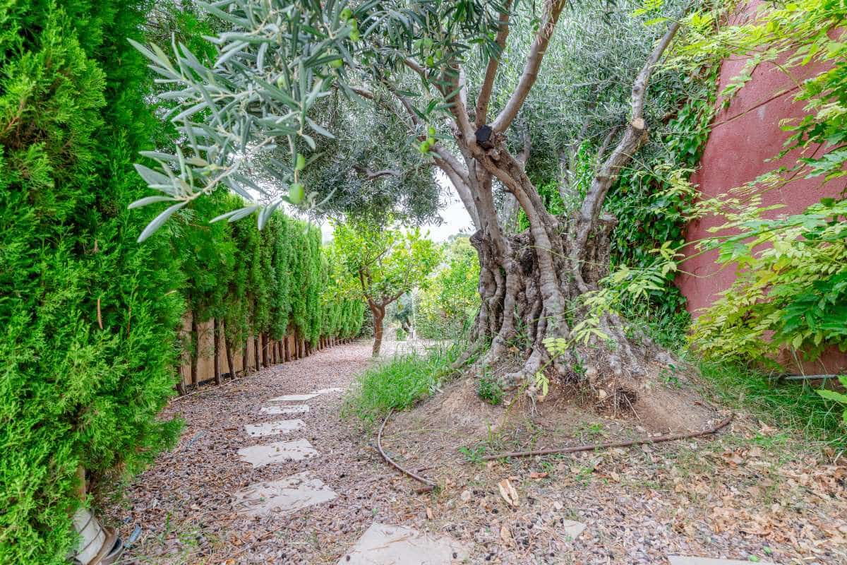 3 chambre Villa/Maison à vendre à Altea la Vella avec piscine garage - 791 000 € (Ref: 9958555)