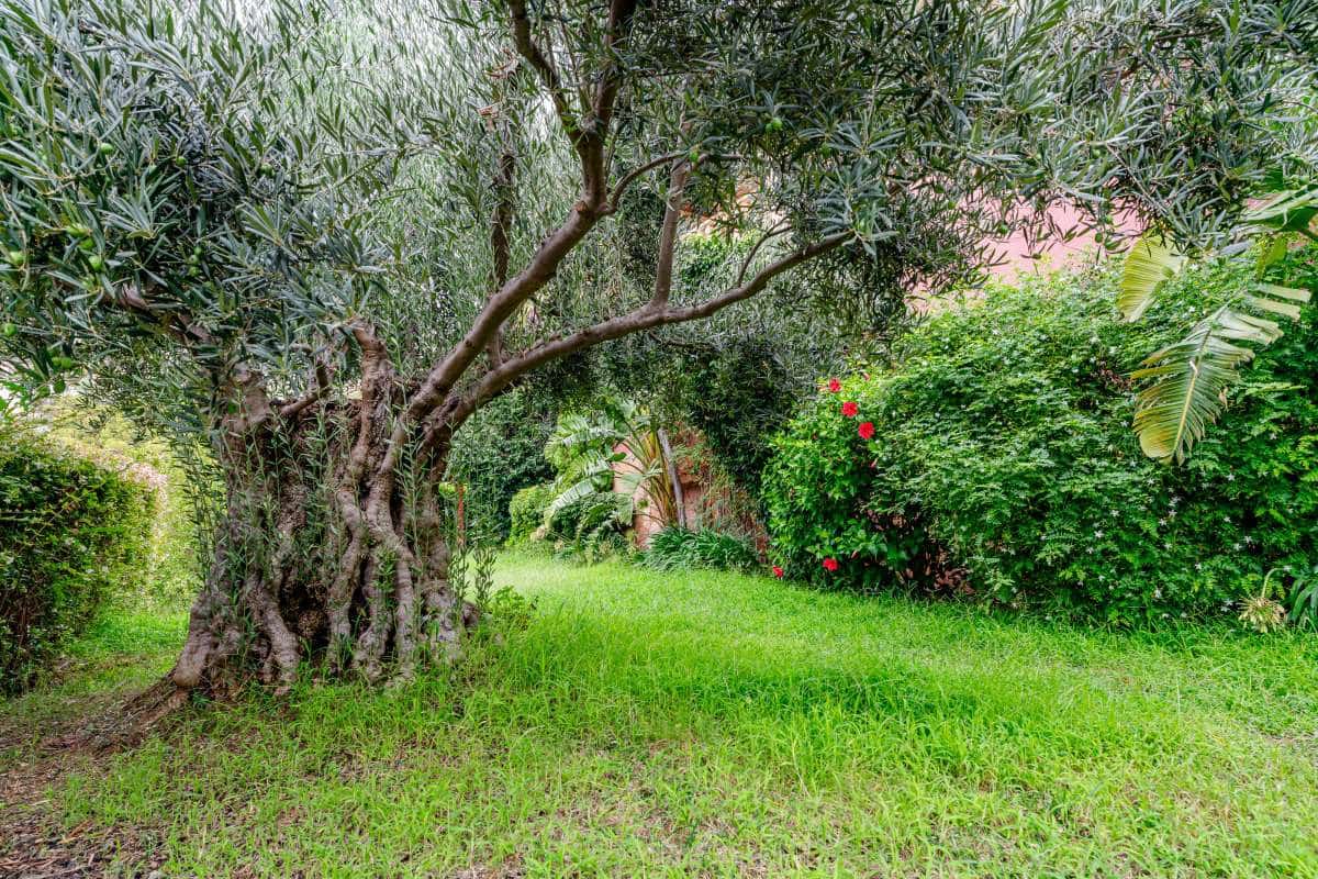 3 chambre Villa/Maison à vendre à Altea la Vella avec piscine garage - 791 000 € (Ref: 9958555)