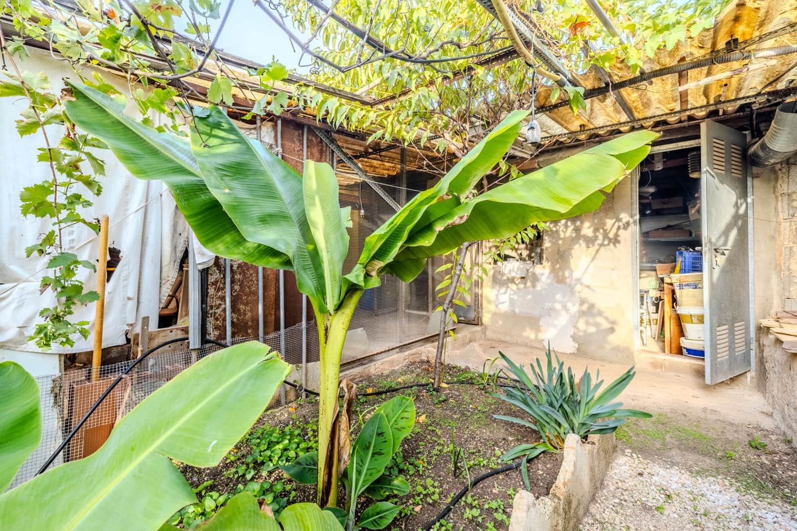 4 chambre Maison de Ville à vendre à Pedreguer - 250 000 € (Ref: 10123396)