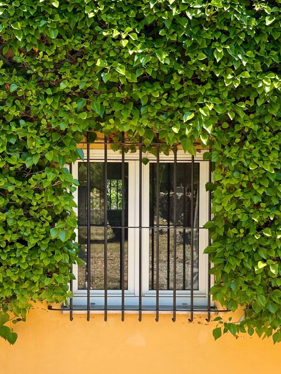 6 camera da letto Villa in vendita in Jesus Pobre con piscina garage - 1.050.000 € (Rif: 9489926)