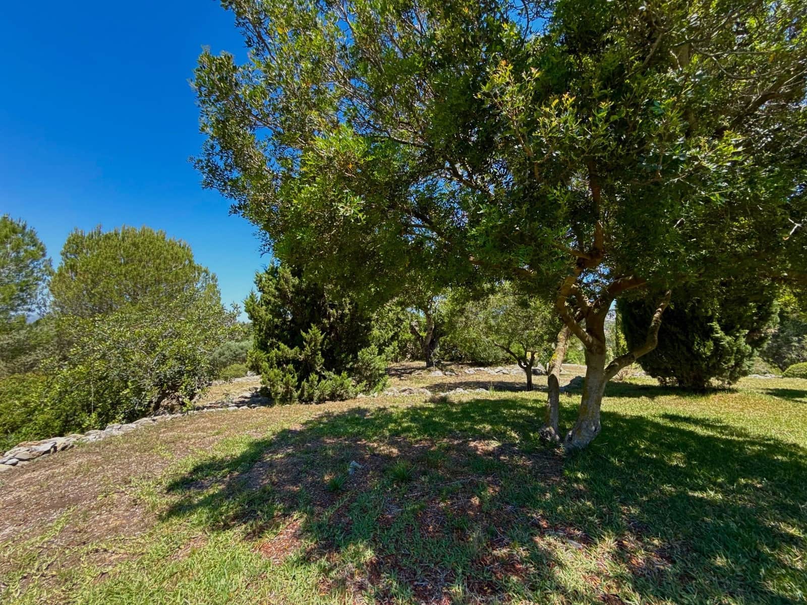 6 camera da letto Villa in vendita in Jesus Pobre con piscina garage - 1.050.000 € (Rif: 9489926)