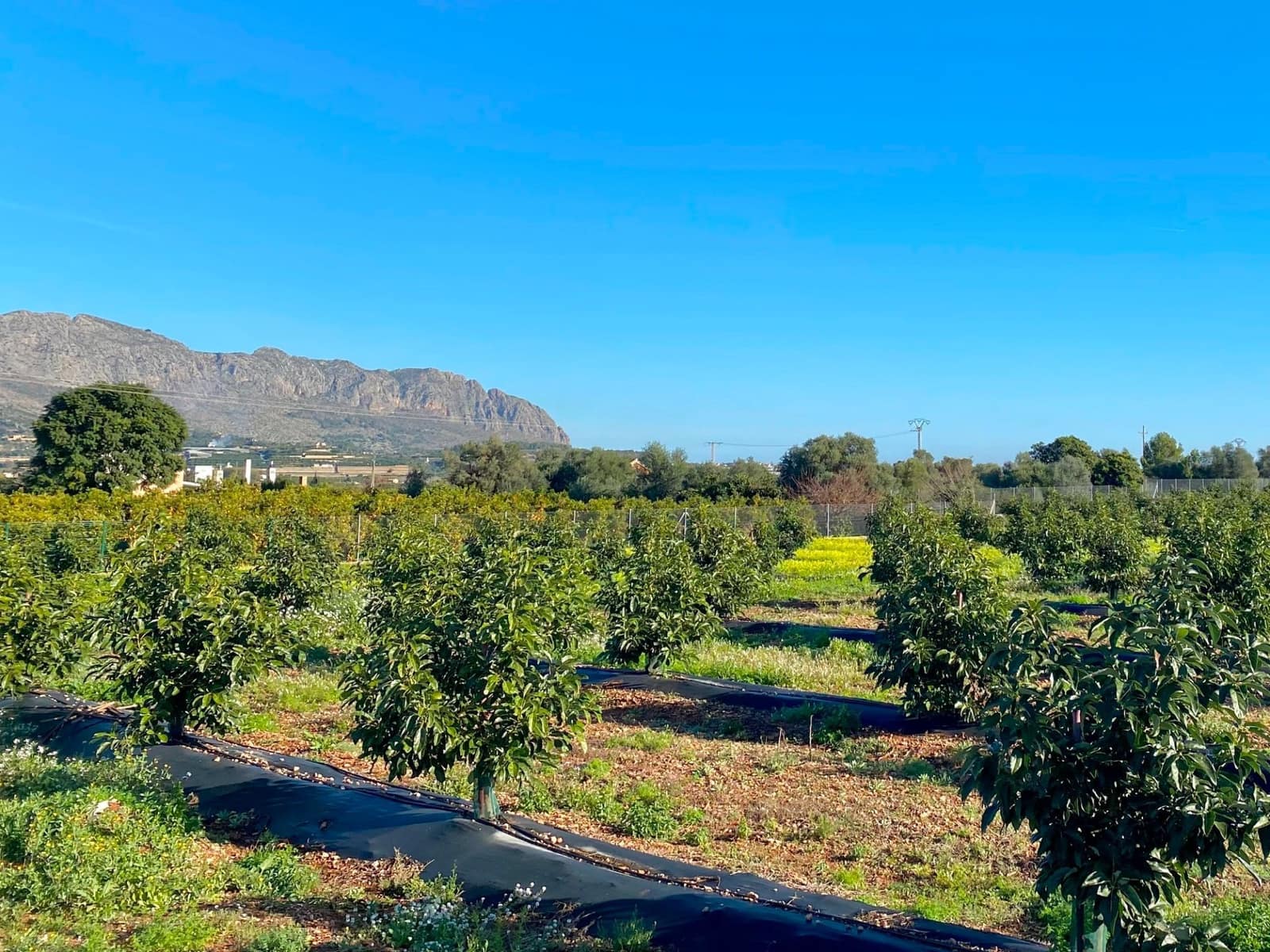 Landgrundstück zu verkaufen in Benidoleig - 275.000 € (Ref: 9636441)