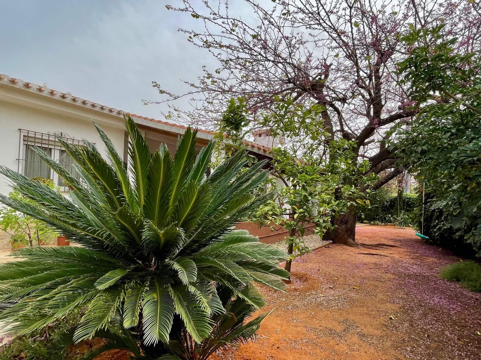 4 soveværelse Villa til salg i Denia med swimmingpool garage - € 960.000 (Ref: 9821994)