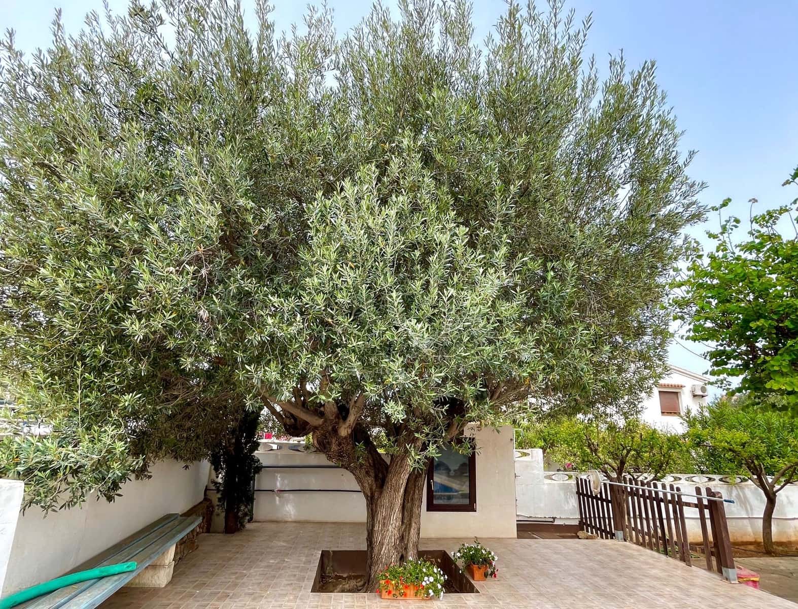 4 soveværelse Villa til salg i Denia med swimmingpool garage - € 960.000 (Ref: 9821994)