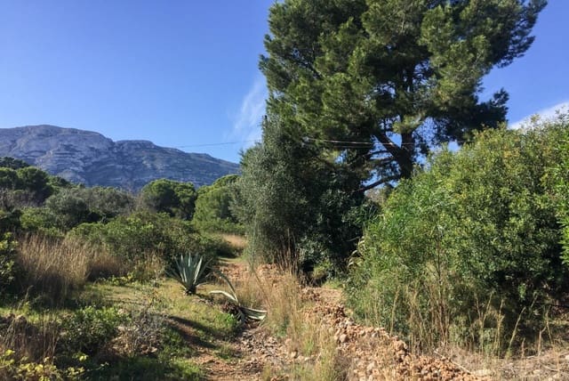 Terreno Não Urbanizado para venda em Las Rotas / Les Rotes, Dénia - 850 000 € (Ref: 9844821)
