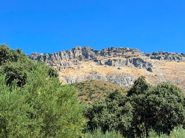 4 Zimmer Finca/Landgut zu verkaufen in Villanueva de la Concepcion - 345.000 € (Ref: 10005680)