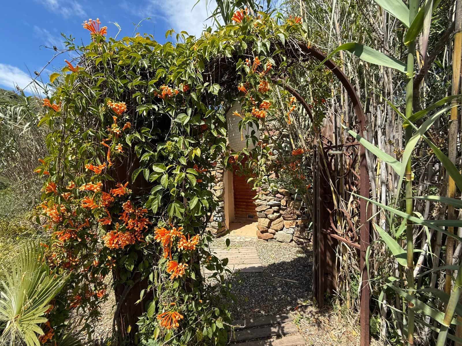 14 slaapkamer Finca/Landhuis te koop in Pizarra met zwembad - € 1.400.000 (Ref: 7233761)