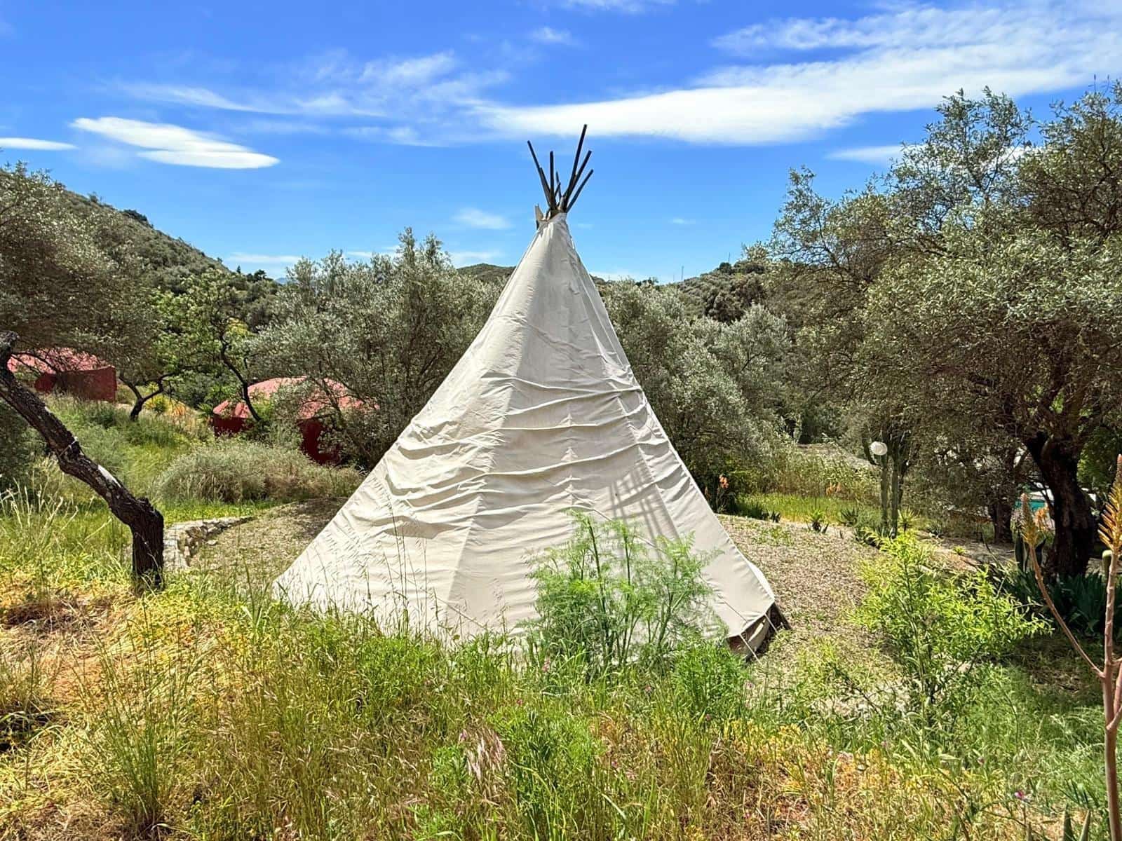 14 slaapkamer Finca/Landhuis te koop in Pizarra met zwembad - € 1.400.000 (Ref: 7233761)