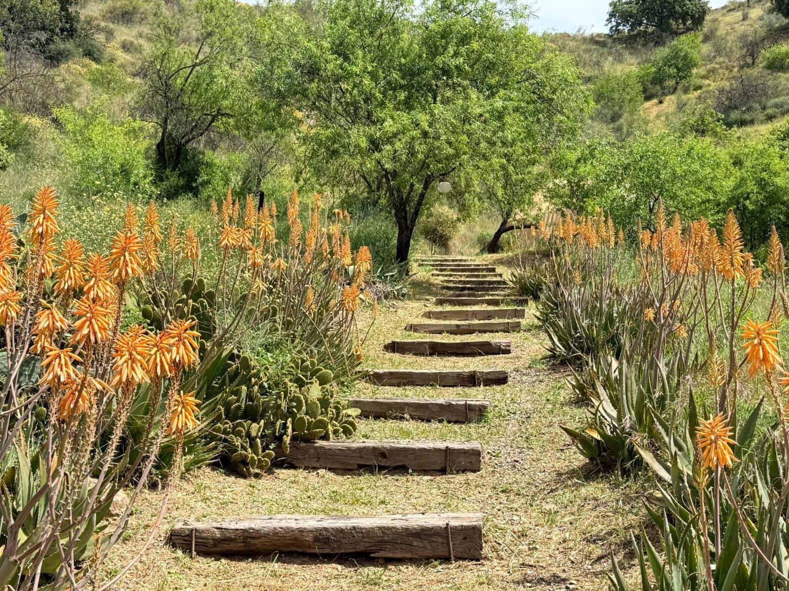 14 slaapkamer Finca/Landhuis te koop in Pizarra met zwembad - € 1.400.000 (Ref: 7233761)