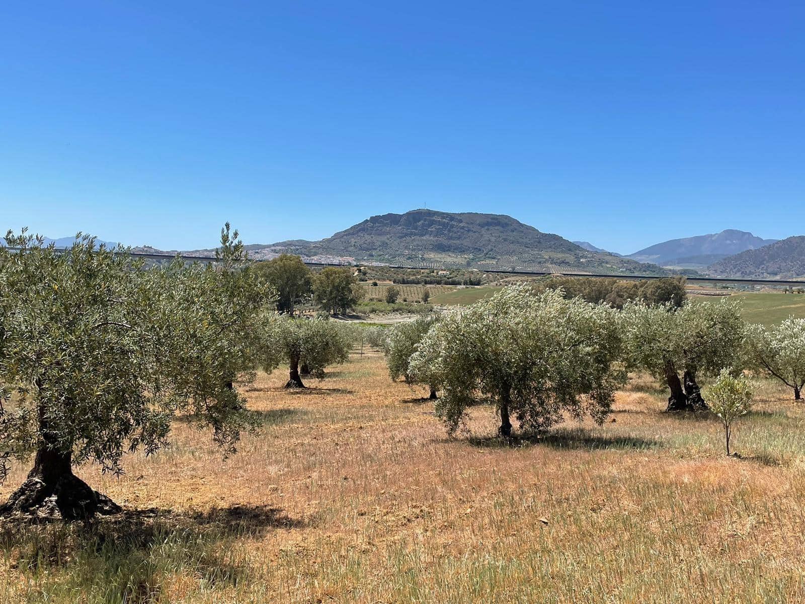 3 quarto Quinta/Casa Rural para venda em Alora com piscina - 254 000 € (Ref: 7518426)