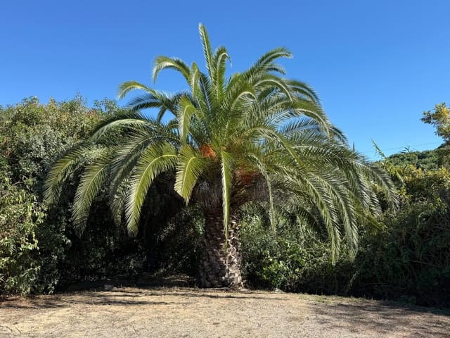 3 makuuhuone Maalaistalo myytävänä paikassa Coín mukana uima-altaan - 499 000 € (Ref: 9341224)