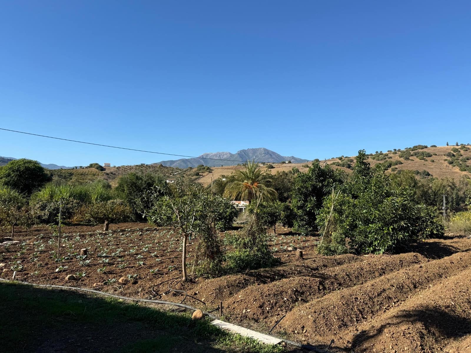 5 soveværelse Finca/Landehus til salg i Coin med swimmingpool - € 695.000 (Ref: 9382874)