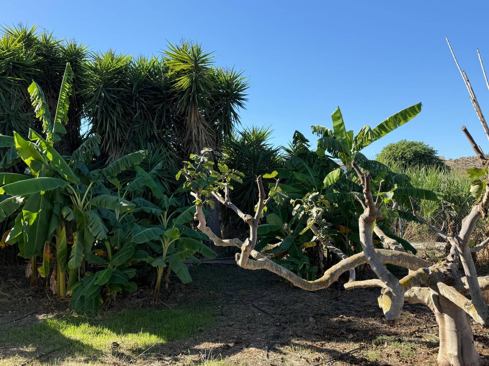 5 soveværelse Finca/Landehus til salg i Coin med swimmingpool - € 695.000 (Ref: 9382874)