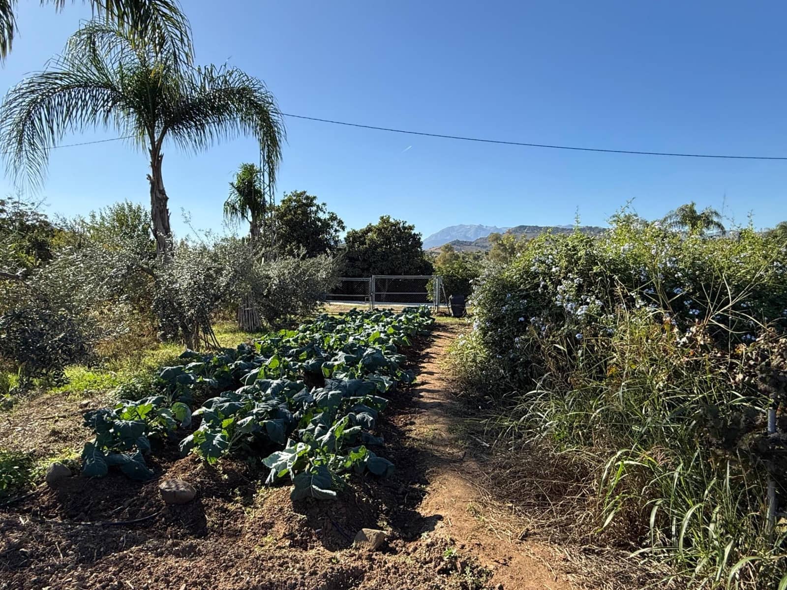 5 soveværelse Finca/Landehus til salg i Coin med swimmingpool - € 695.000 (Ref: 9382874)